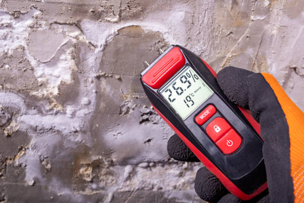 Best Crawl Space Mold Remediation in Clio, MI