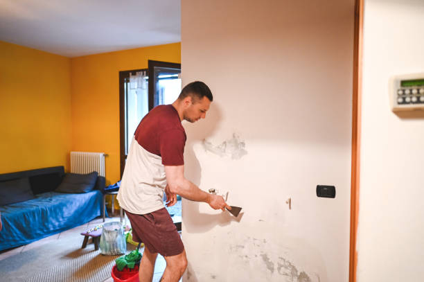 Best Kitchen Mold Remediation in Clio, MI
